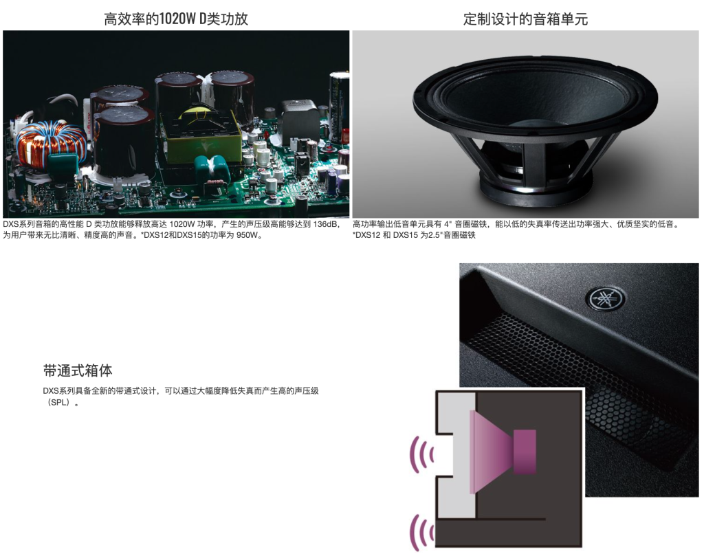 DXS系列插圖6 DXS系列插圖6