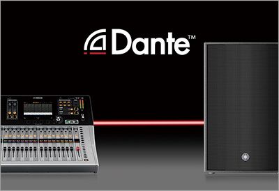 DZR / DXS XLF 系列插圖30 DZR / DXS XLF 系列